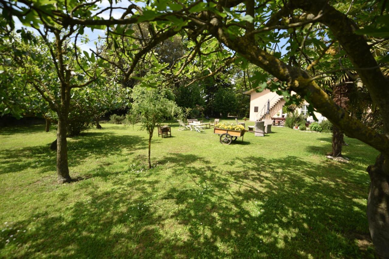 Capannone111 Bed and Breakfast Castiglione di Ravenna Buitenkant foto