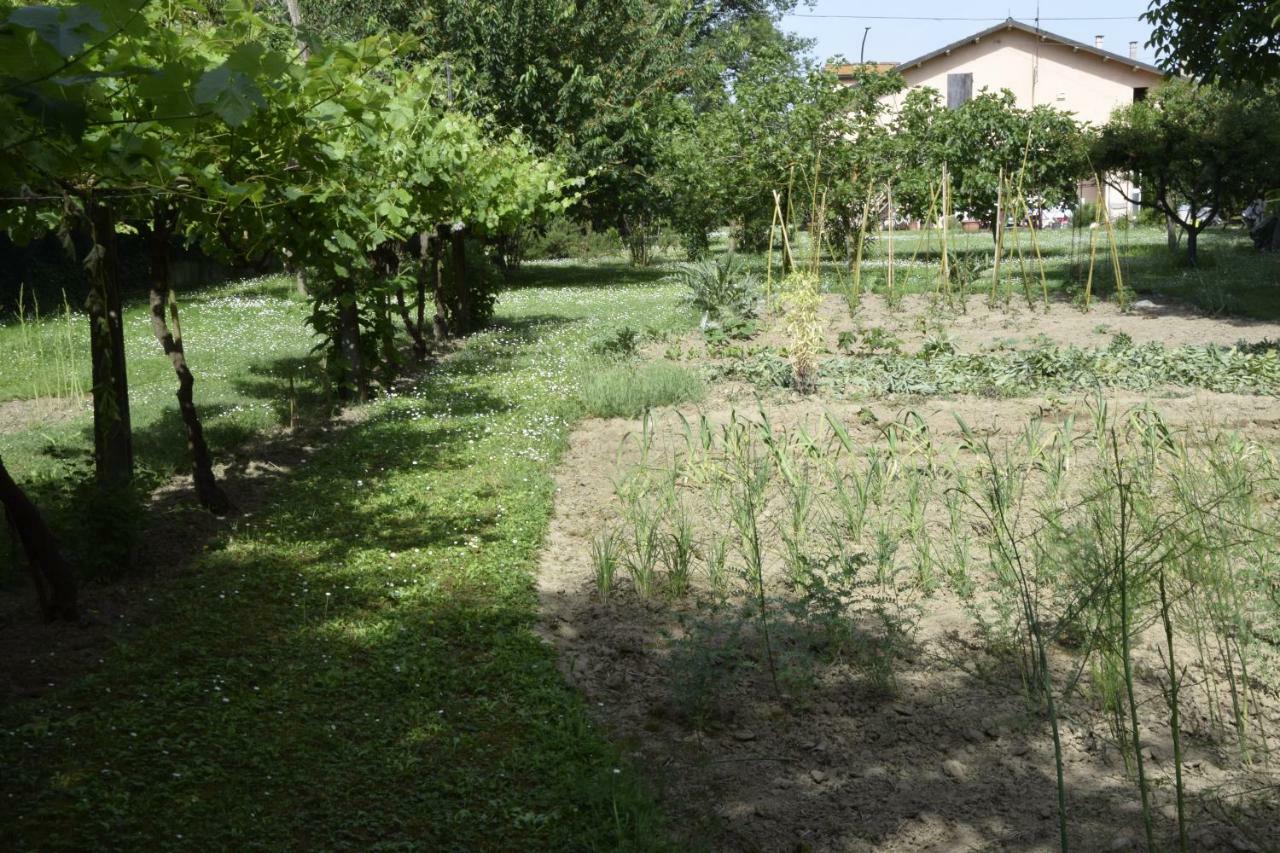 Capannone111 Bed and Breakfast Castiglione di Ravenna Buitenkant foto